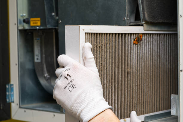 Best Air Duct Cleaning Company Near Me  in Lake Hallie, WI